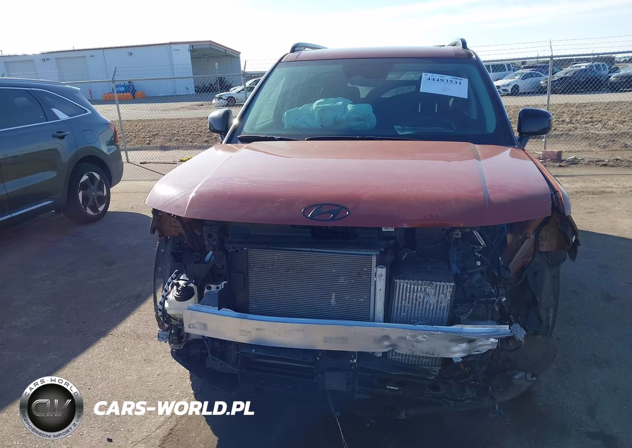 2025 Hyundai Santa Fe Xrt VIN:5NMP3DGL4SH149933 - 12