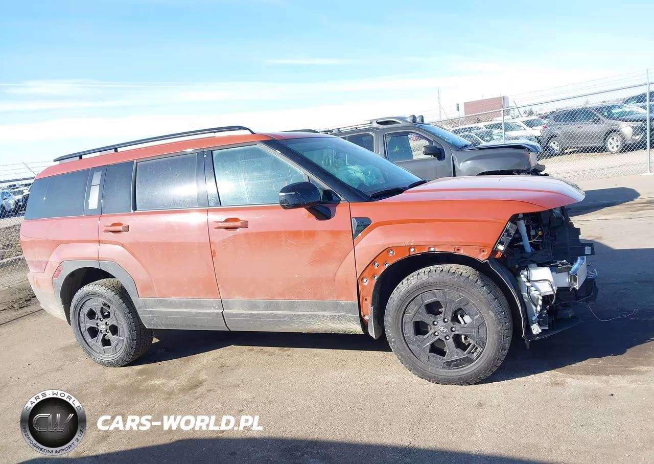 2025 Hyundai Santa Fe Xrt VIN:5NMP3DGL4SH149933 - 13