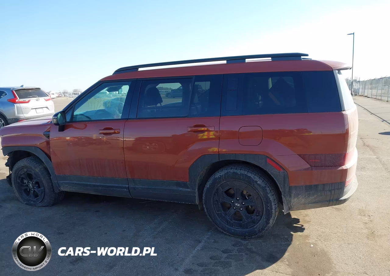 2025 Hyundai Santa Fe Xrt VIN:5NMP3DGL4SH149933 - 14