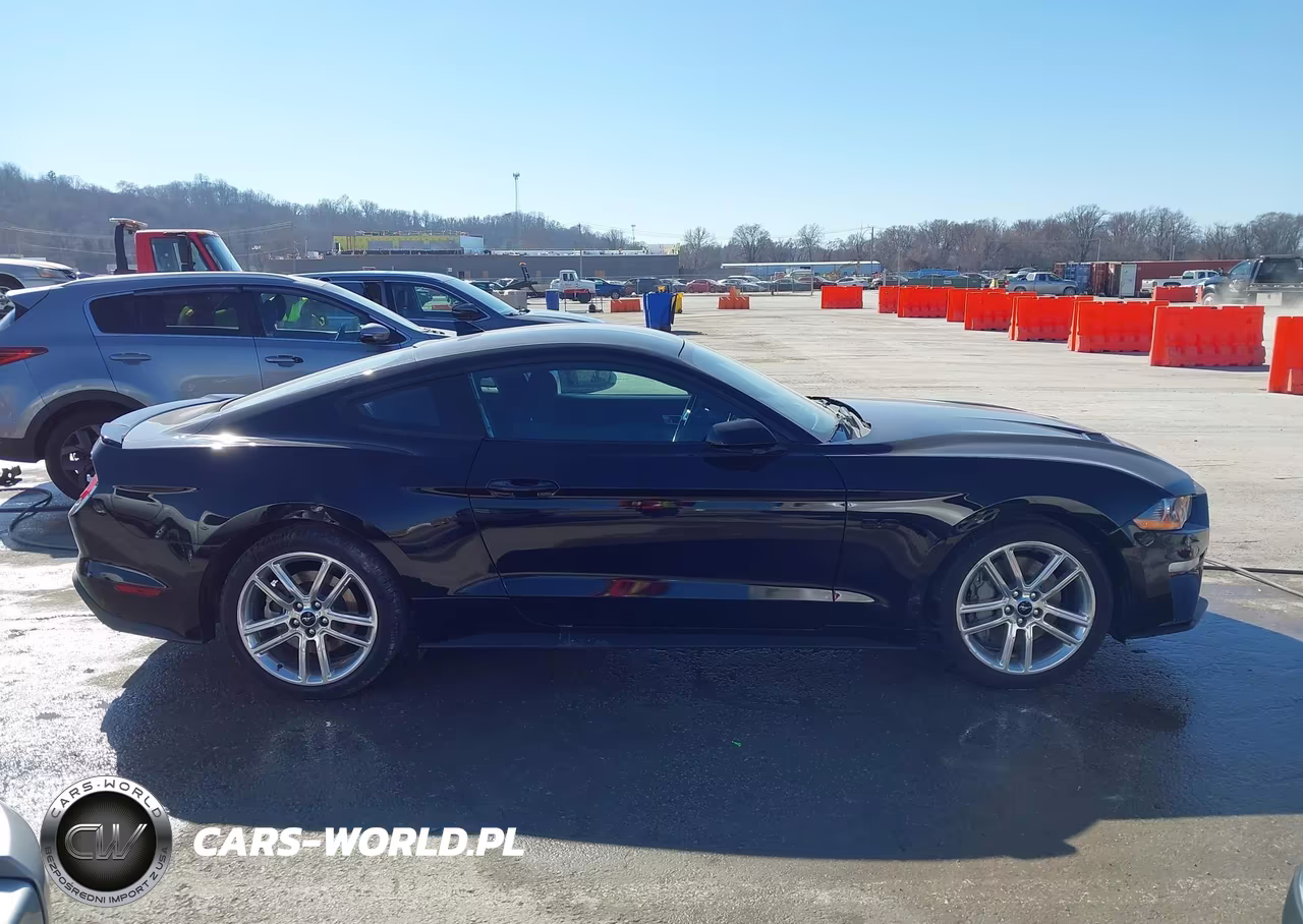 2021 Ford Mustang Gt Fastback VIN:1FA6P8CF3M5113606 - 13
