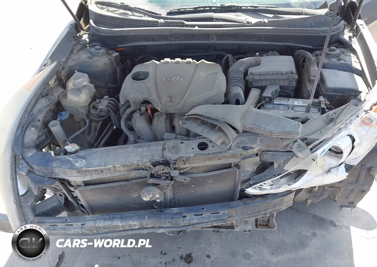 2014 Hyundai Sonata Gls VIN:5NPEB4AC4EH858937 - 10