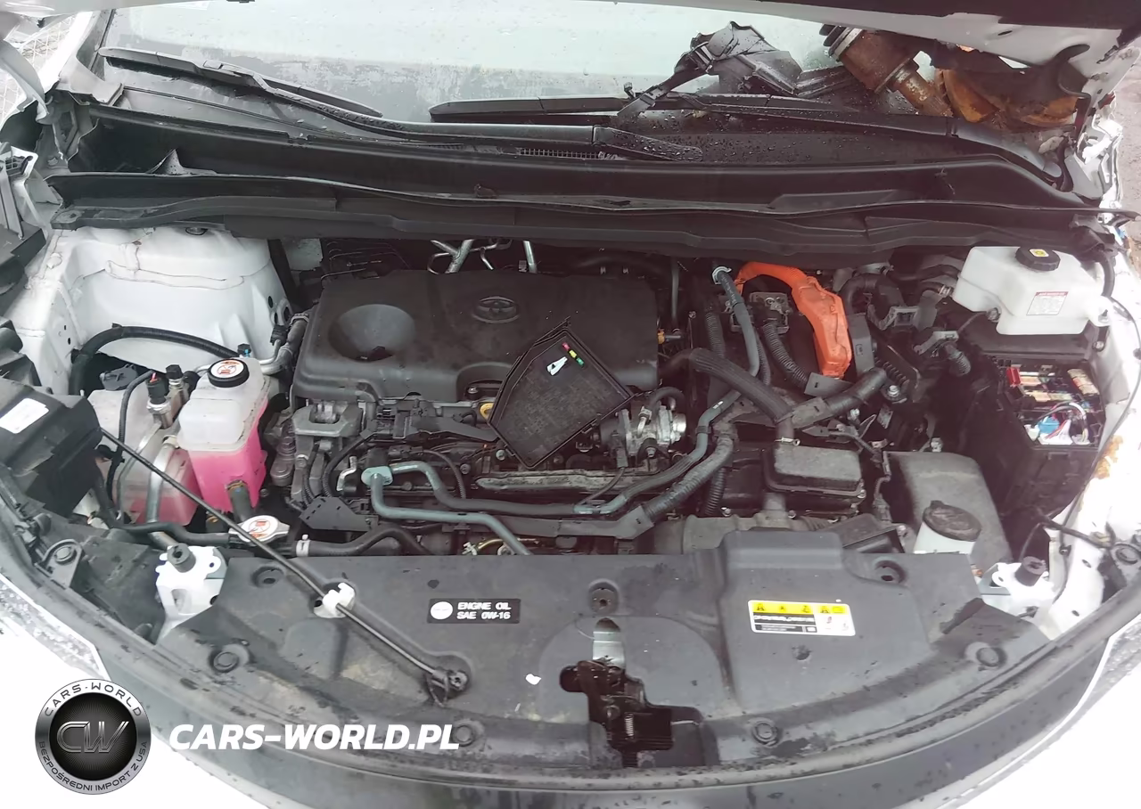 2024 Toyota Sienna Xle VIN:5TDJSKFC7RS149043 - 10