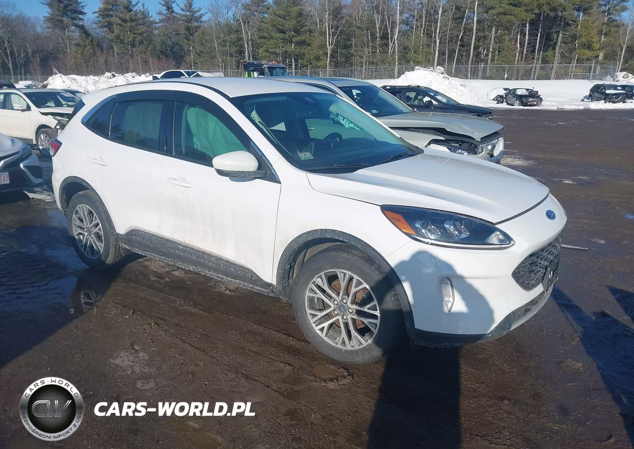 2022 Ford Escape Sel