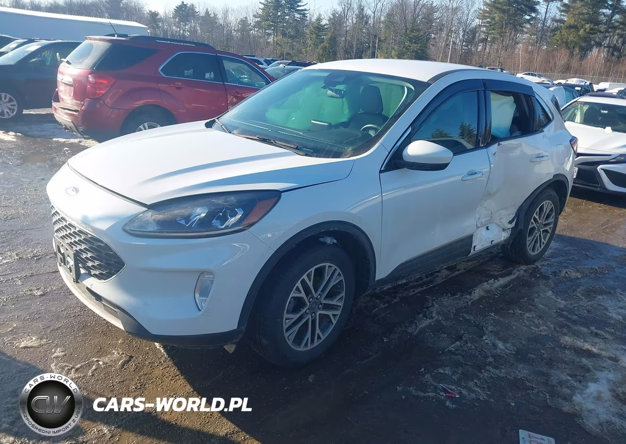 2022 Ford Escape Sel VIN:1FMCU9H66NUA14771 - 2