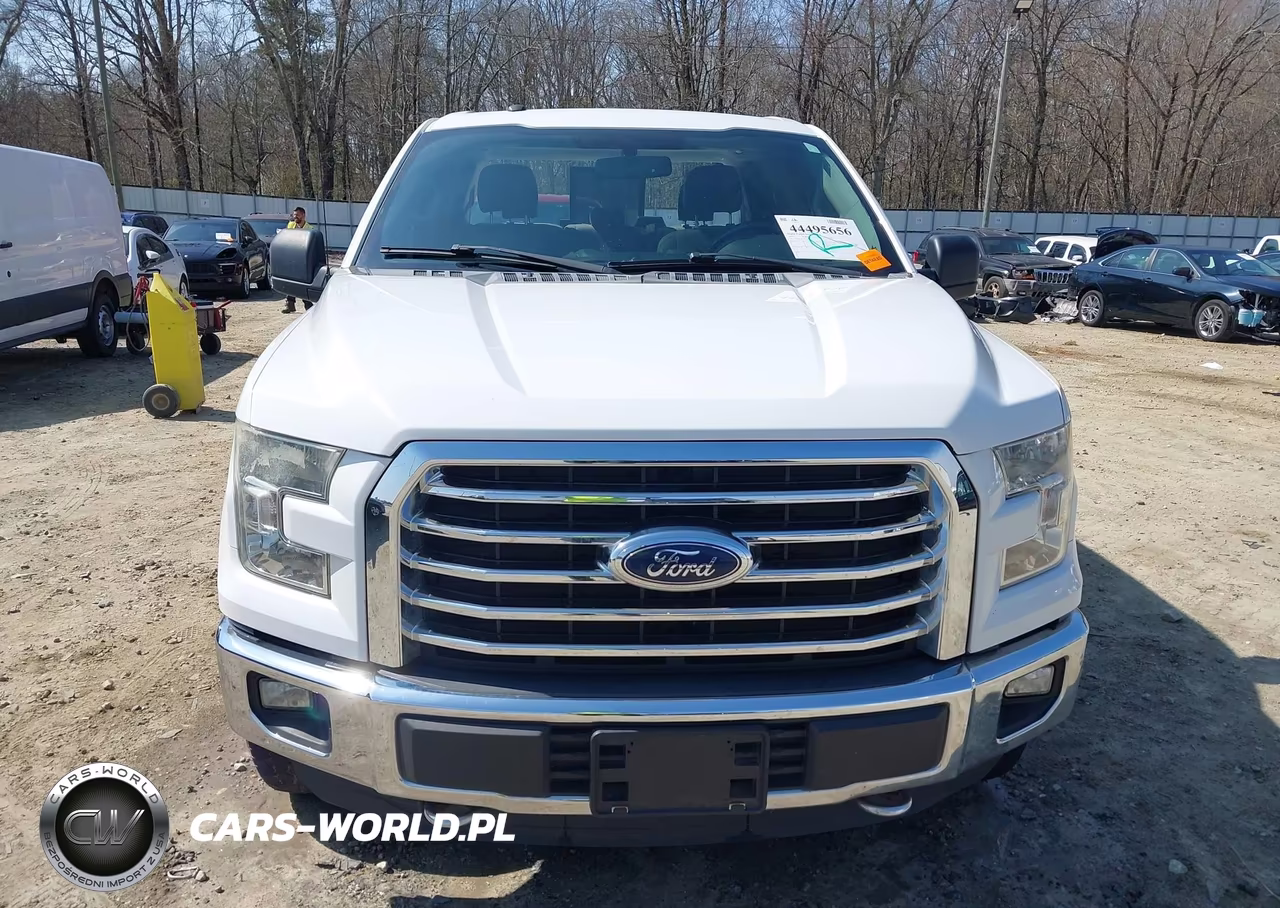 2016 Ford F-150 Xlt VIN:1FTEW1EF8GFA49929 - 13