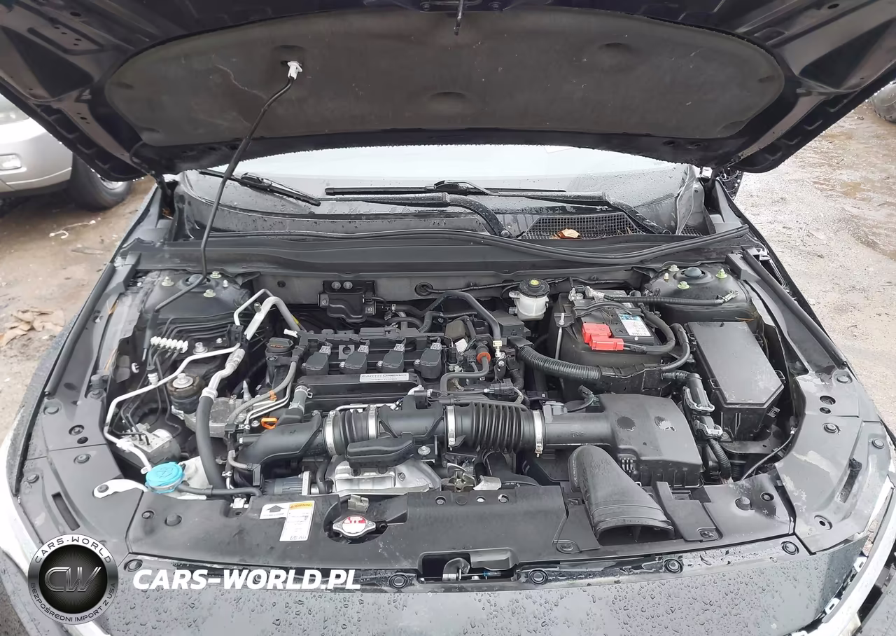 2019 Honda Accord Ex-L VIN:1HGCV1F55KA164902 - 10