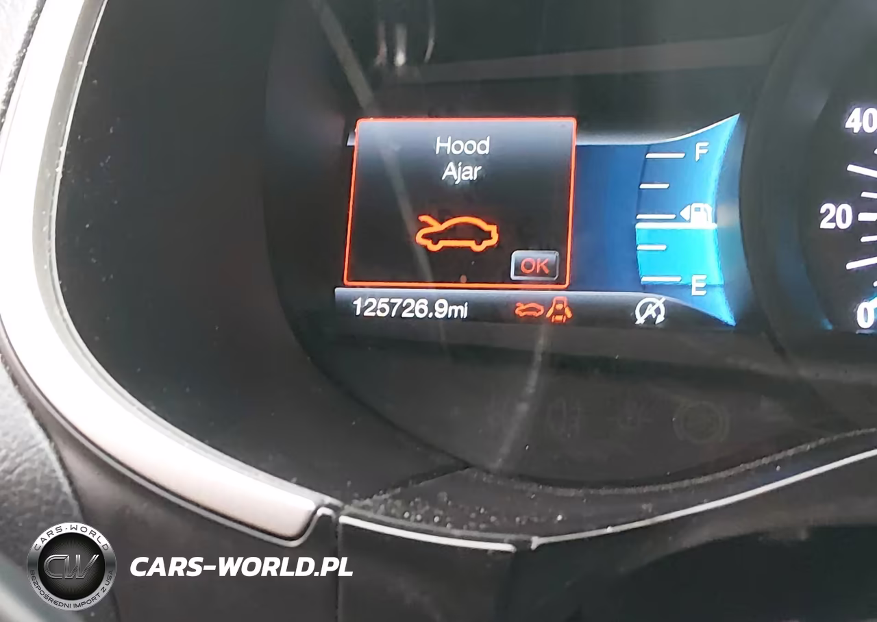 2019 Ford Edge Sel VIN:2FMPK4J97KBC59806 - 15
