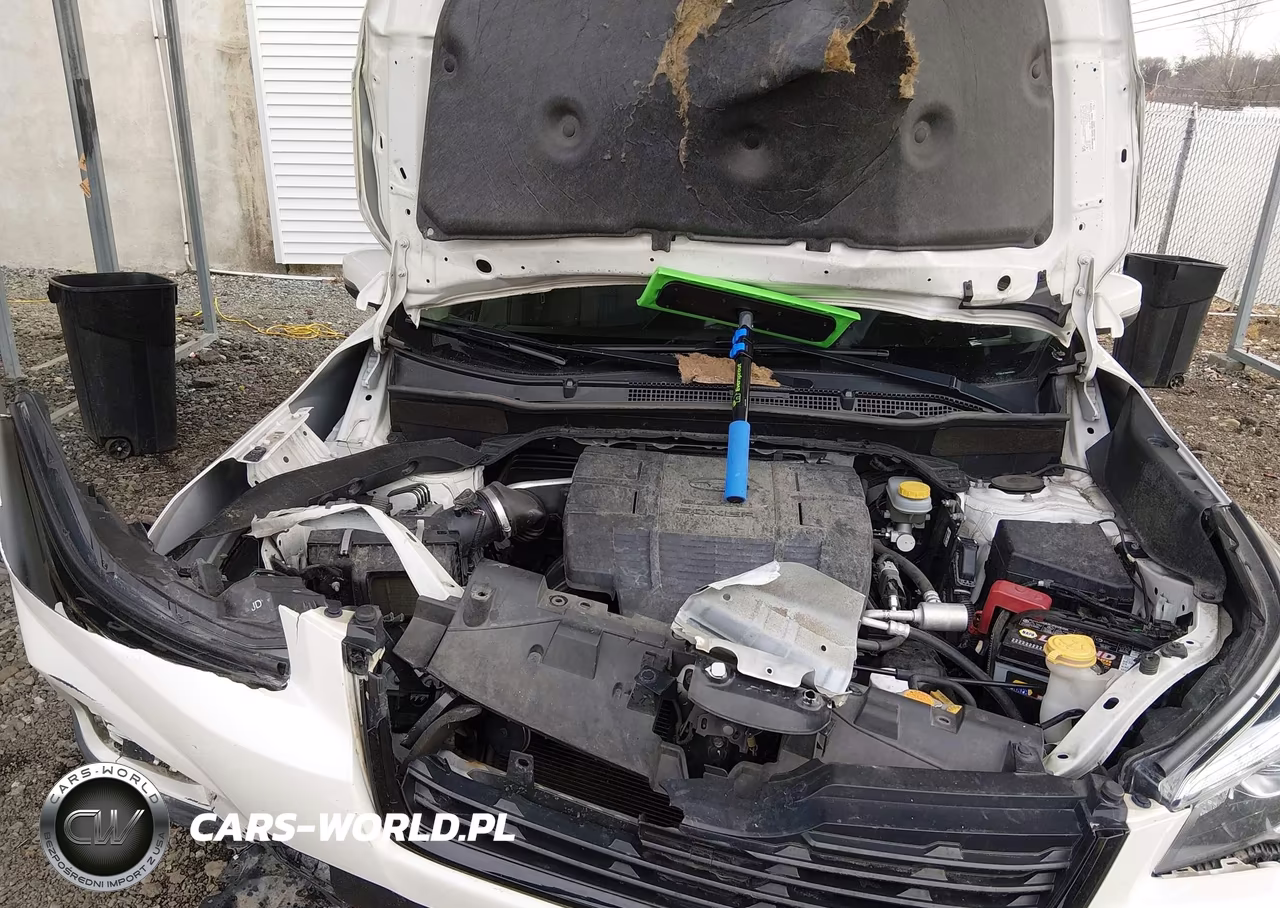 2019 Subaru Forester Sport VIN:JF2SKAJC3KH505683 - 10