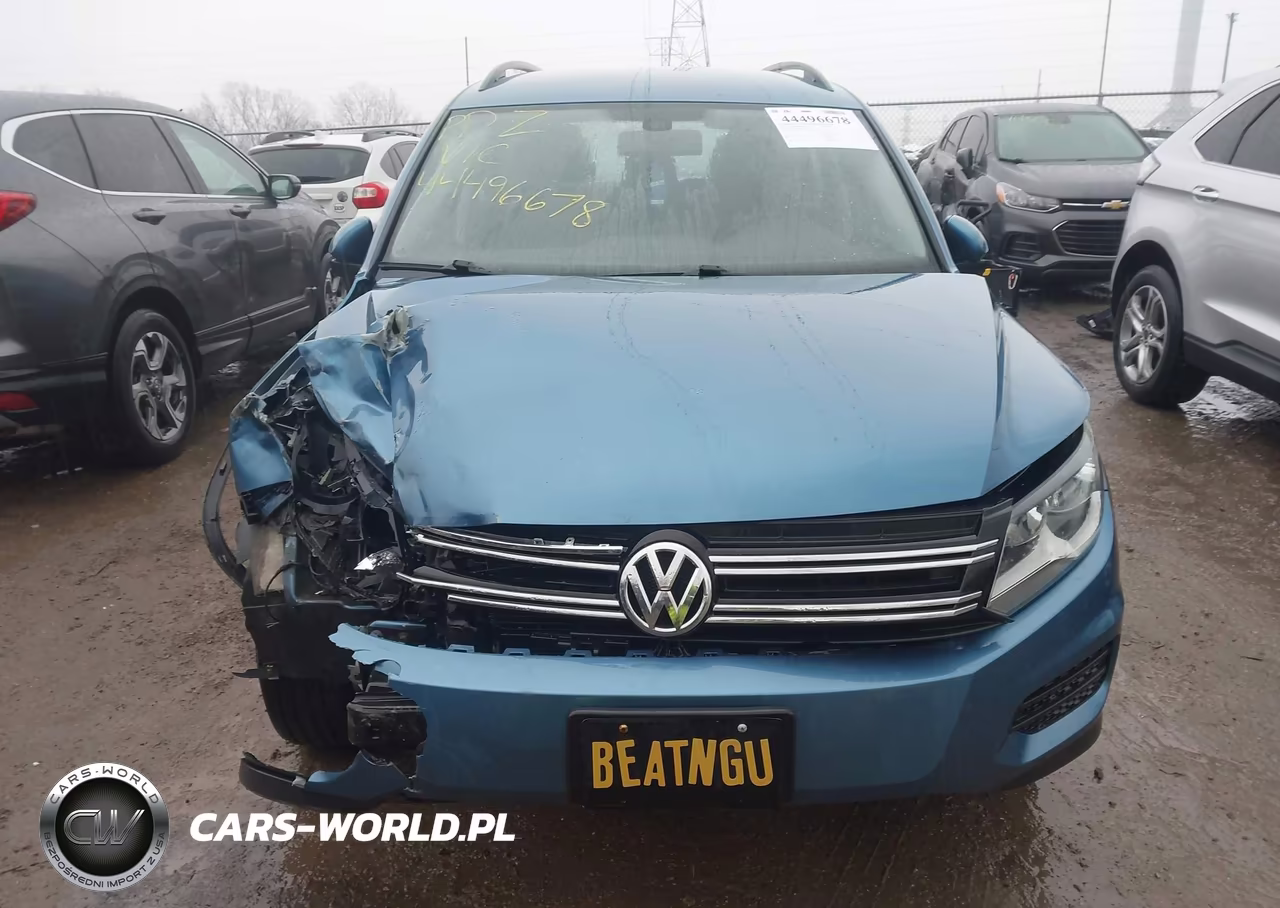 2017 Volkswagen Tiguan 2.0T-2.0T S VIN:WVGBV7AX0HK025829 - 13