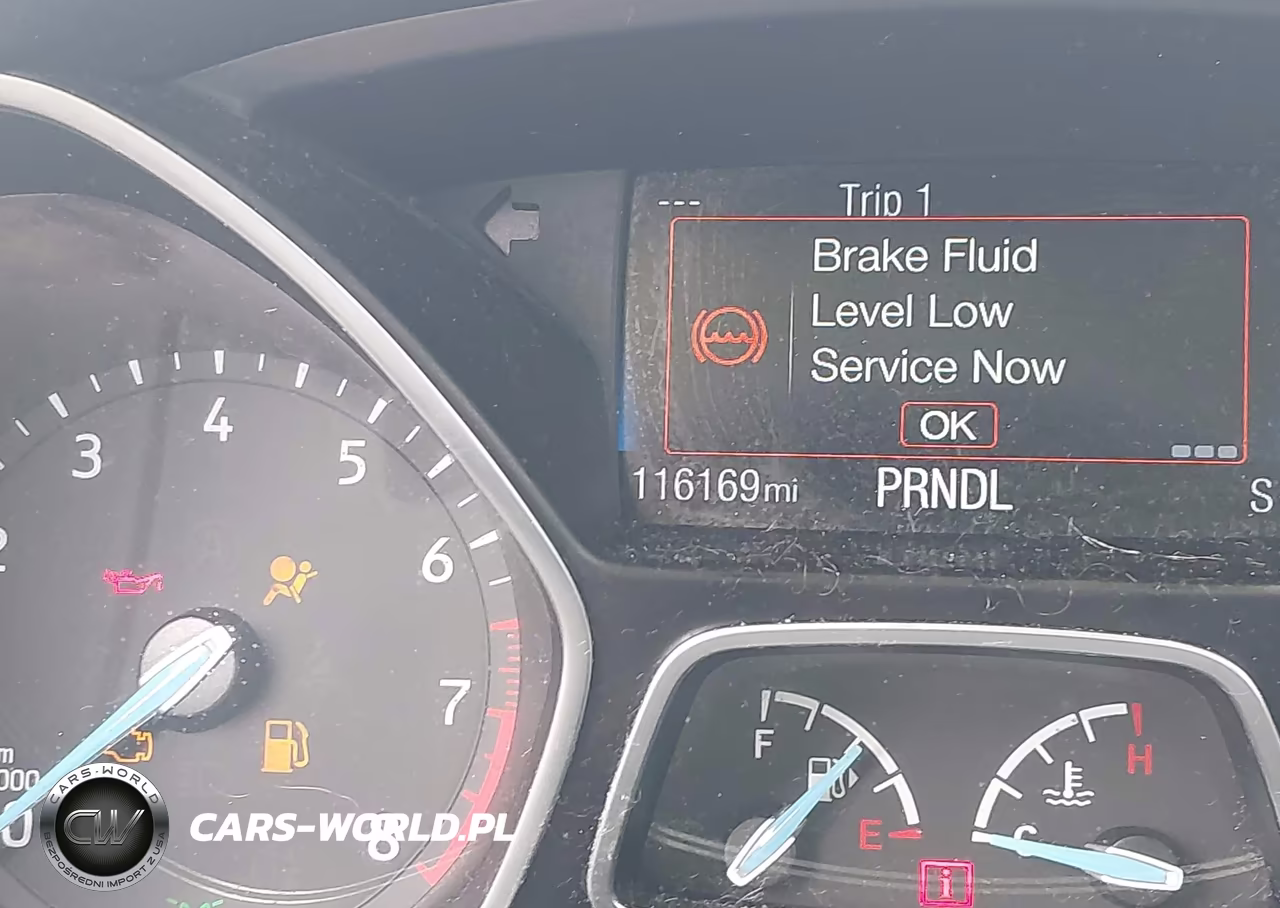 2016 Ford Focus Se VIN:1FADP3F21GL243869 - 16