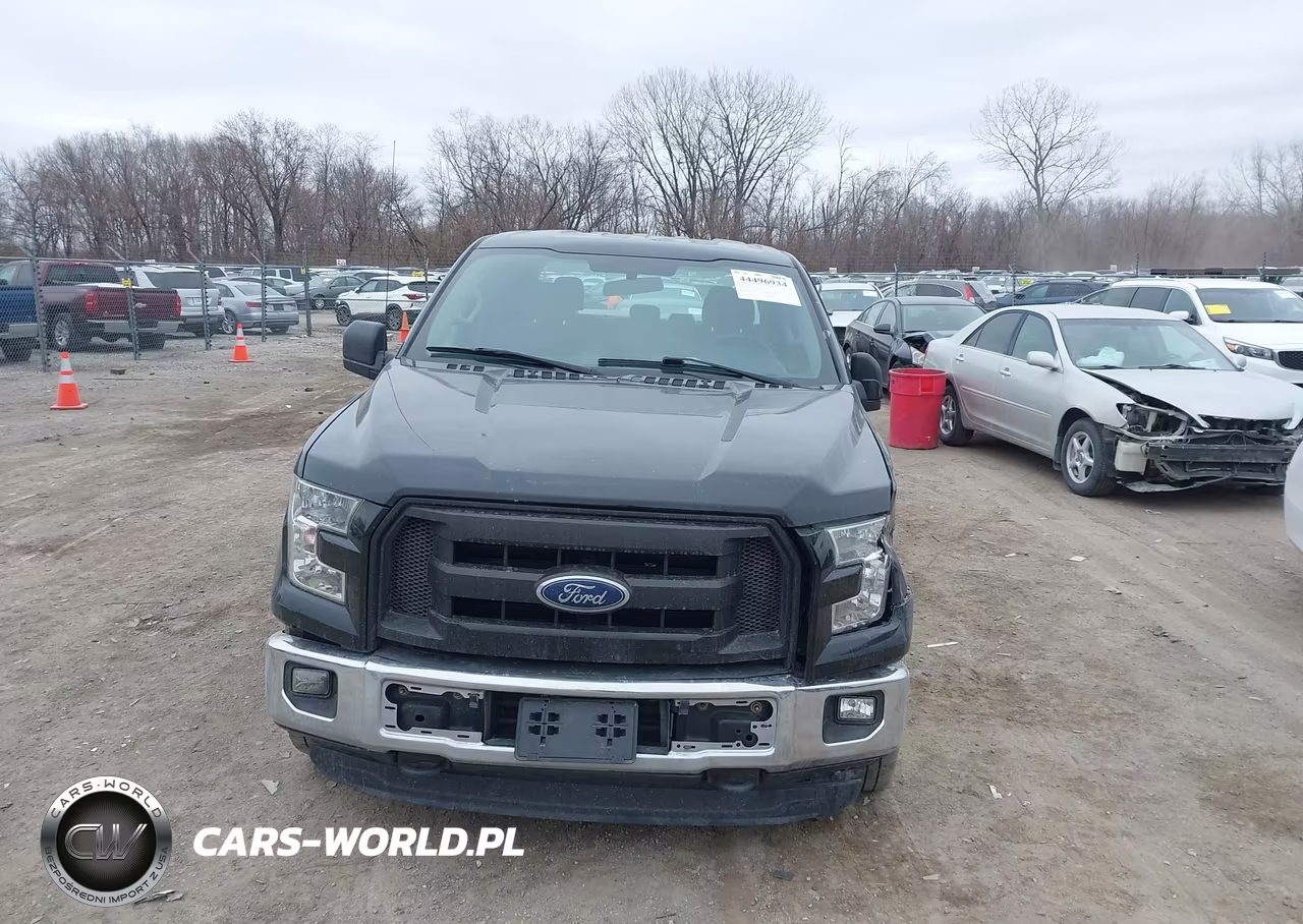 2016 Ford F-150 Xl VIN:1FTEW1EP2GKE09745 - 12