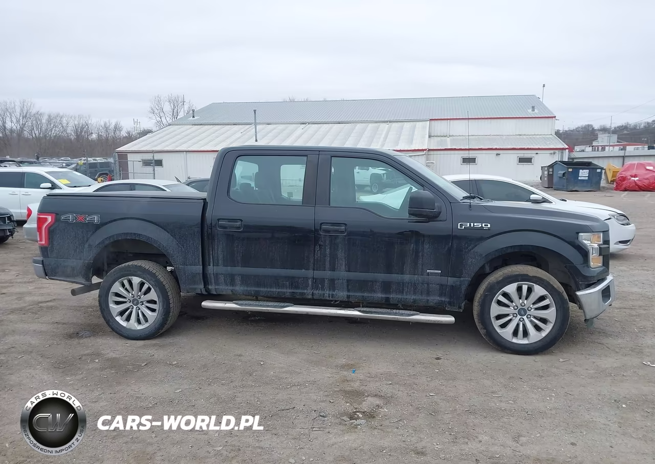 2016 Ford F-150 Xl VIN:1FTEW1EP2GKE09745 - 13