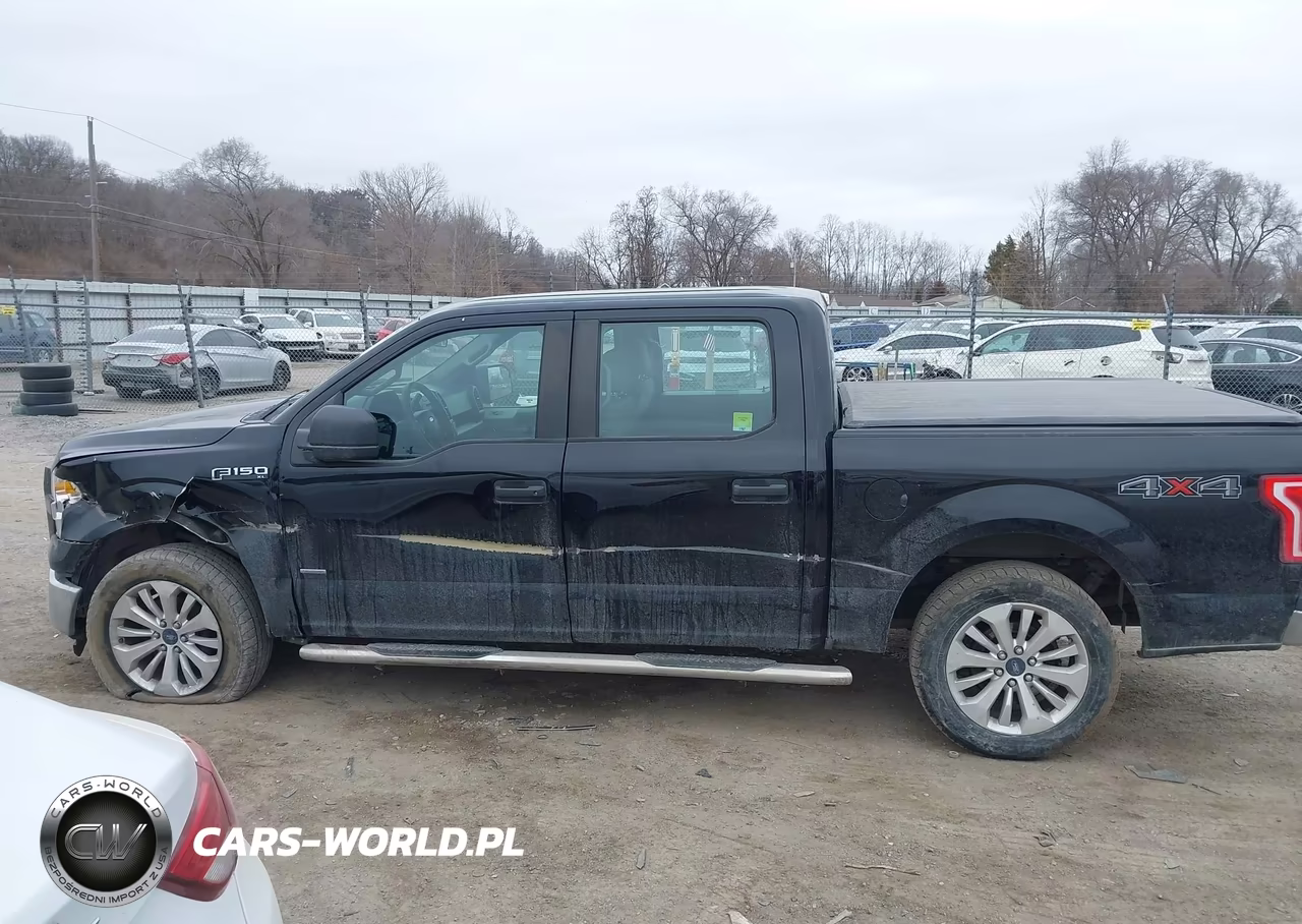 2016 Ford F-150 Xl VIN:1FTEW1EP2GKE09745 - 14