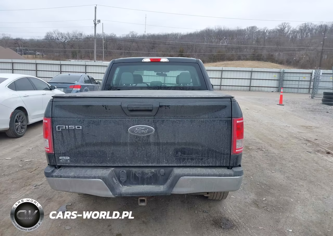 2016 Ford F-150 Xl VIN:1FTEW1EP2GKE09745 - 16