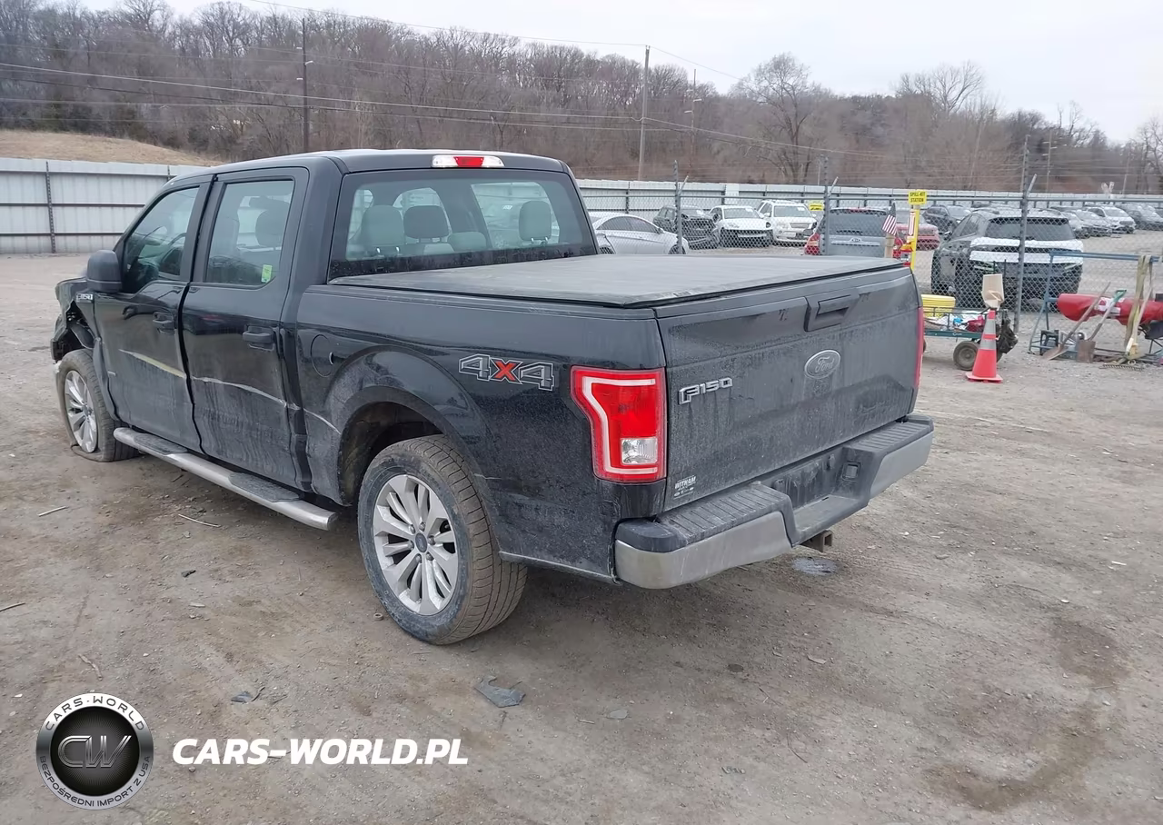 2016 Ford F-150 Xl VIN:1FTEW1EP2GKE09745 - 3