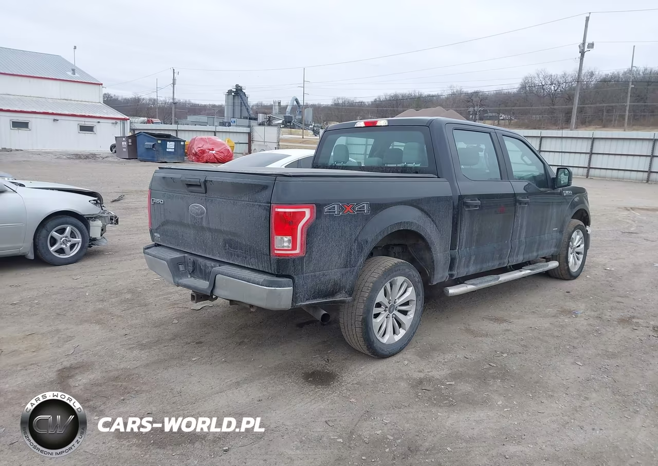 2016 Ford F-150 Xl VIN:1FTEW1EP2GKE09745 - 4