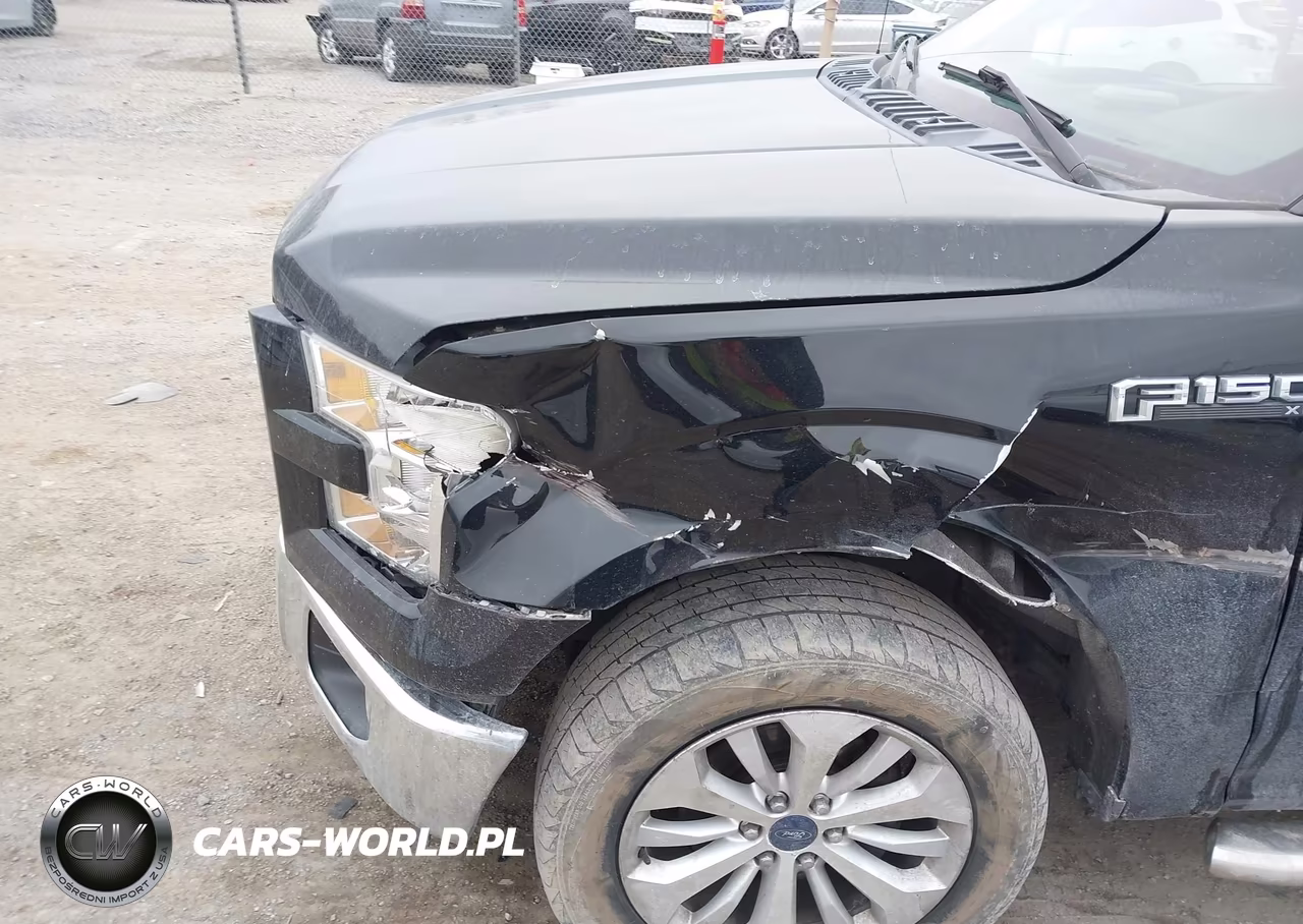 2016 Ford F-150 Xl VIN:1FTEW1EP2GKE09745 - 6