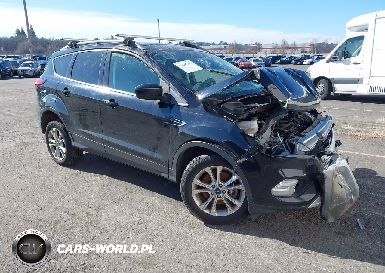 2019 Ford Escape Se