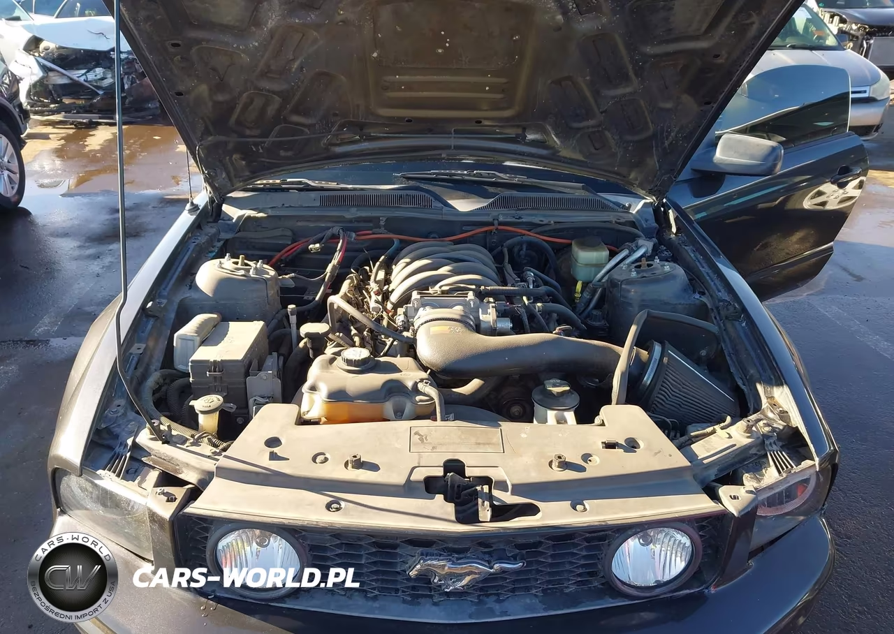 2008 Ford Mustang Gt Deluxe-Gt Premium VIN:1ZVHT82H185143871 - 10