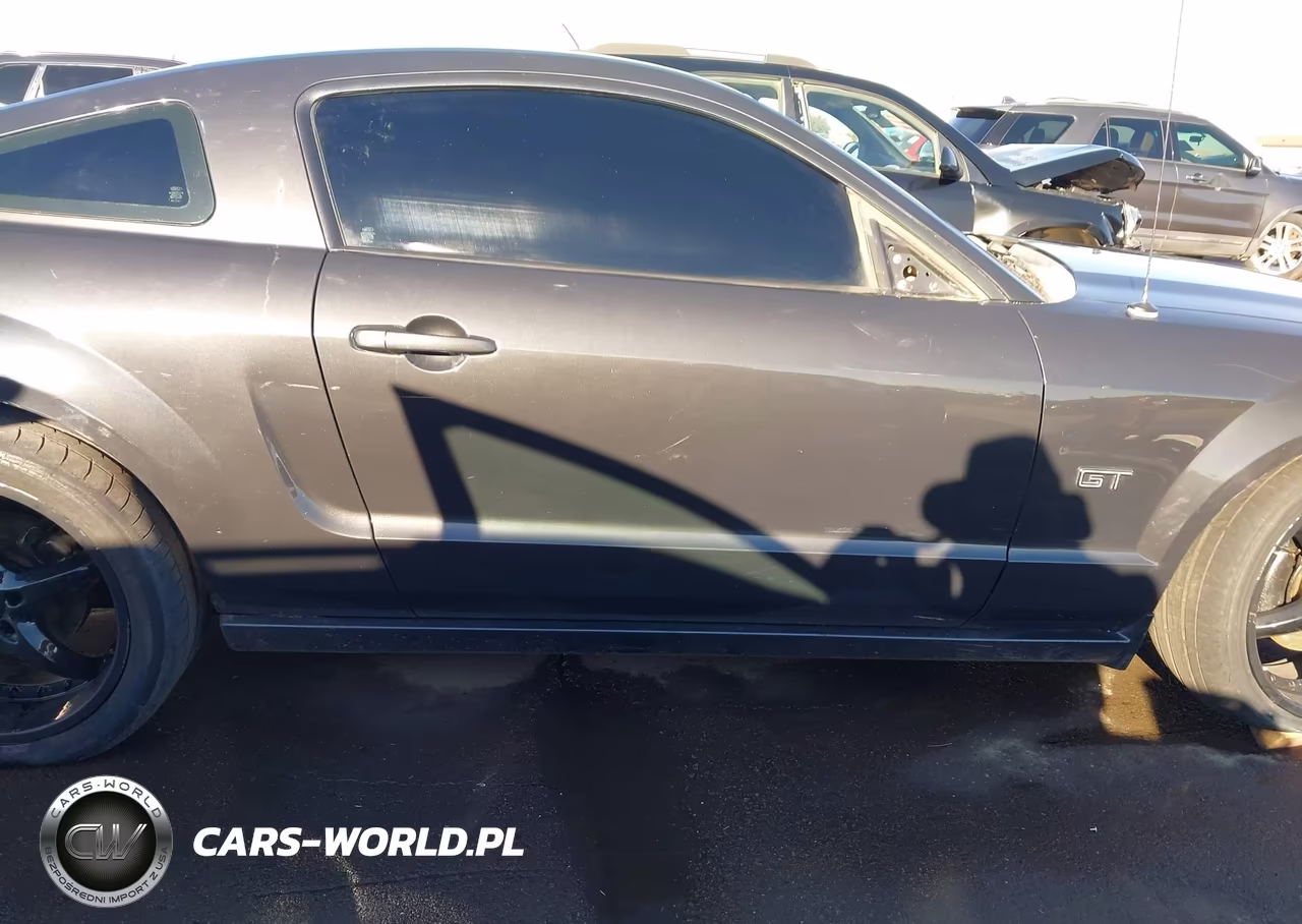 2008 Ford Mustang Gt Deluxe-Gt Premium VIN:1ZVHT82H185143871 - 12