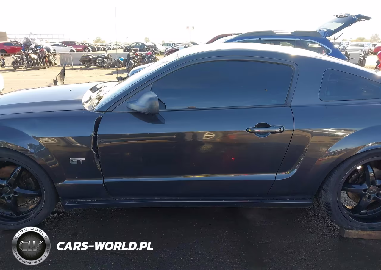 2008 Ford Mustang Gt Deluxe-Gt Premium VIN:1ZVHT82H185143871 - 13