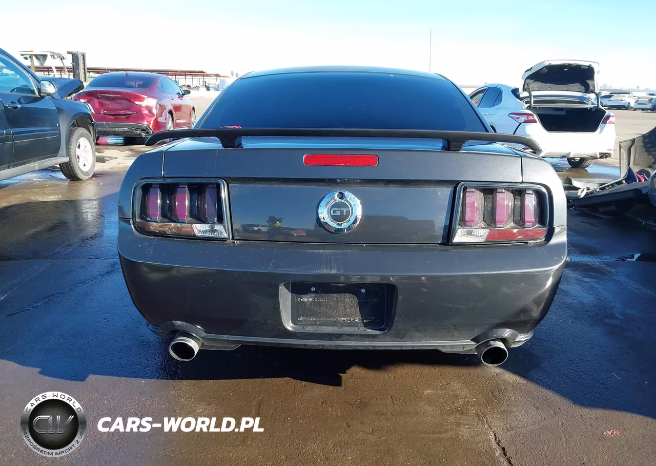 2008 Ford Mustang Gt Deluxe-Gt Premium VIN:1ZVHT82H185143871 - 15