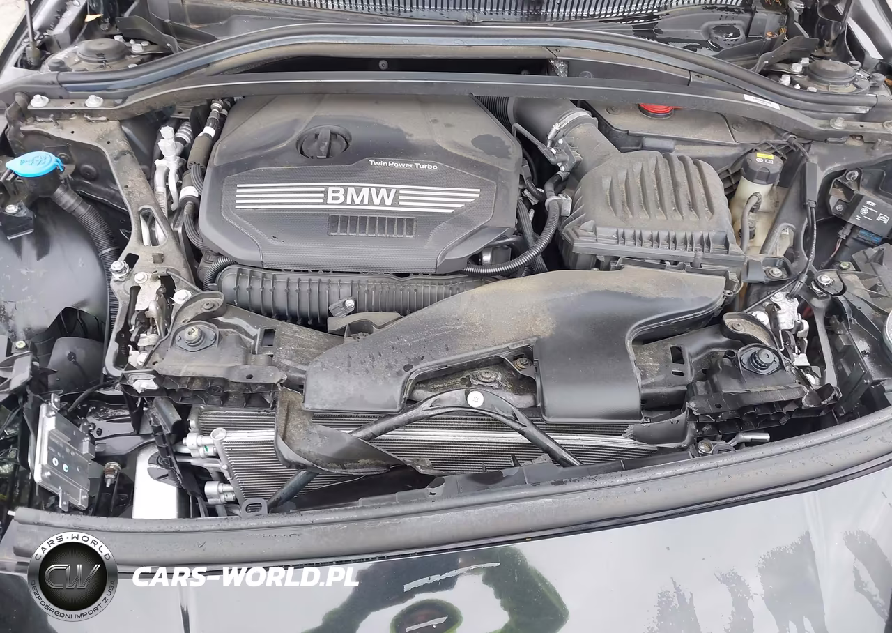2020 BMW 228I Gran Coupe xDrive VIN:WBA73AK01L7F57374 - 10