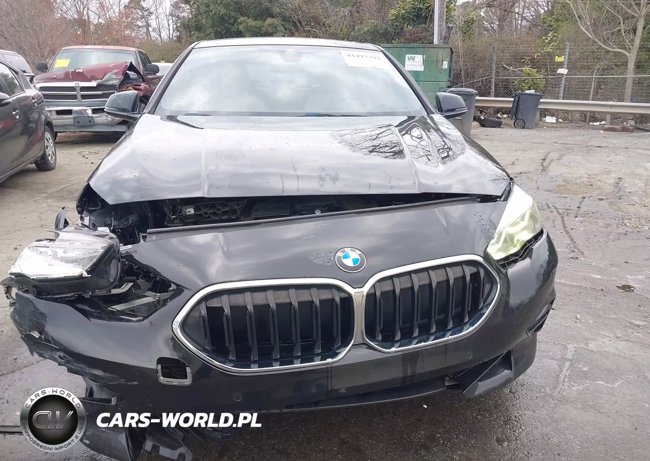 2020 BMW 228I Gran Coupe xDrive VIN:WBA73AK01L7F57374 - 12