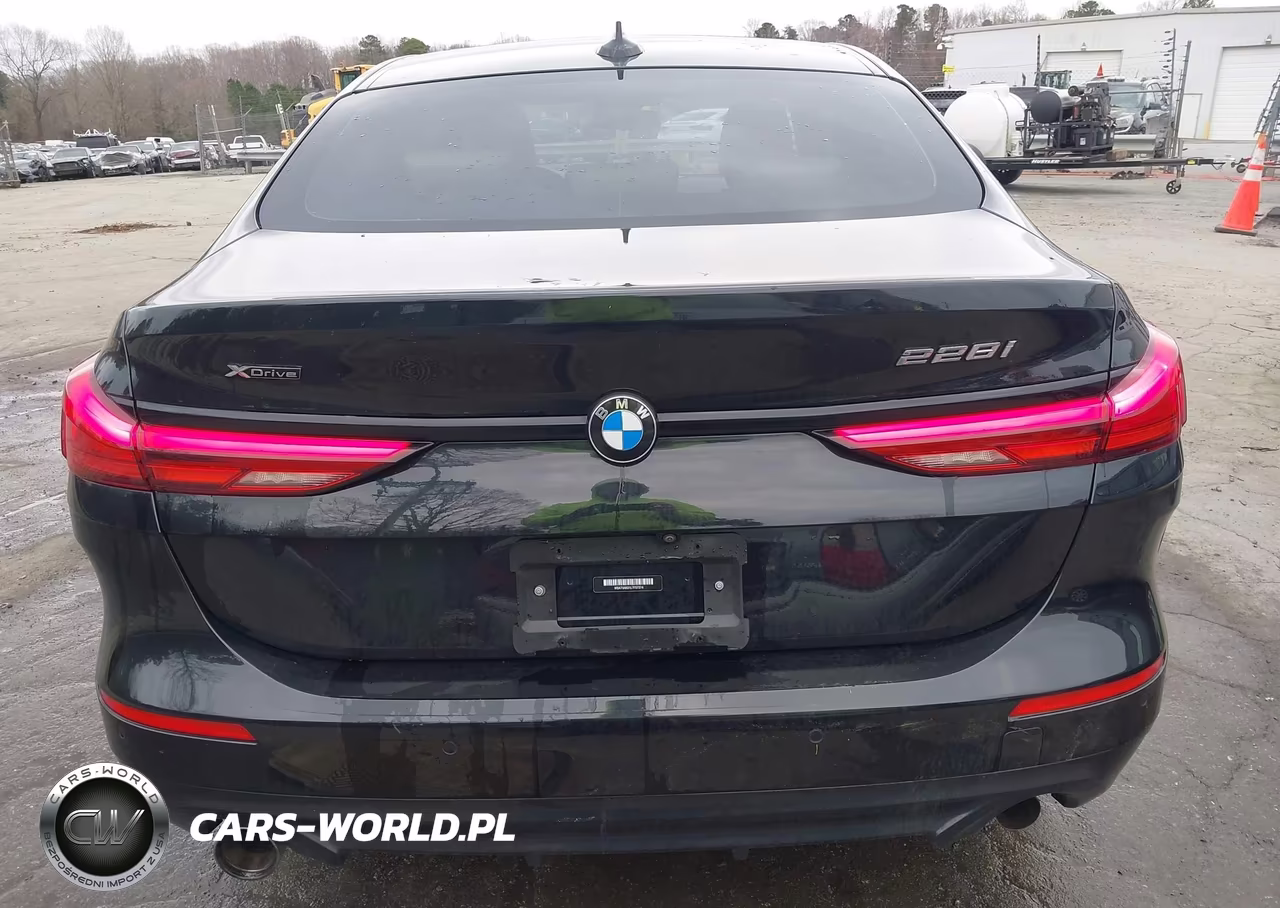 2020 BMW 228I Gran Coupe xDrive VIN:WBA73AK01L7F57374 - 16