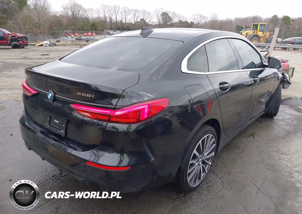 2020 BMW 228I Gran Coupe xDrive VIN:WBA73AK01L7F57374 - 4