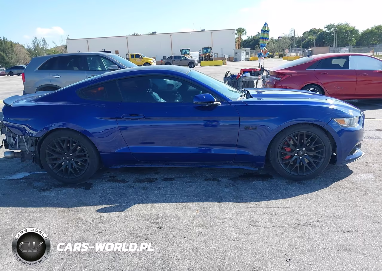 2015 Ford Mustang Gt Premium VIN:1FA6P8CF0F5303608 - 14