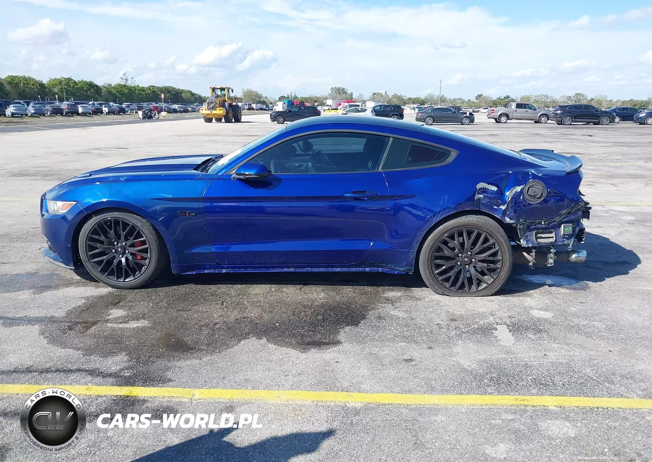2015 Ford Mustang Gt Premium VIN:1FA6P8CF0F5303608 - 15