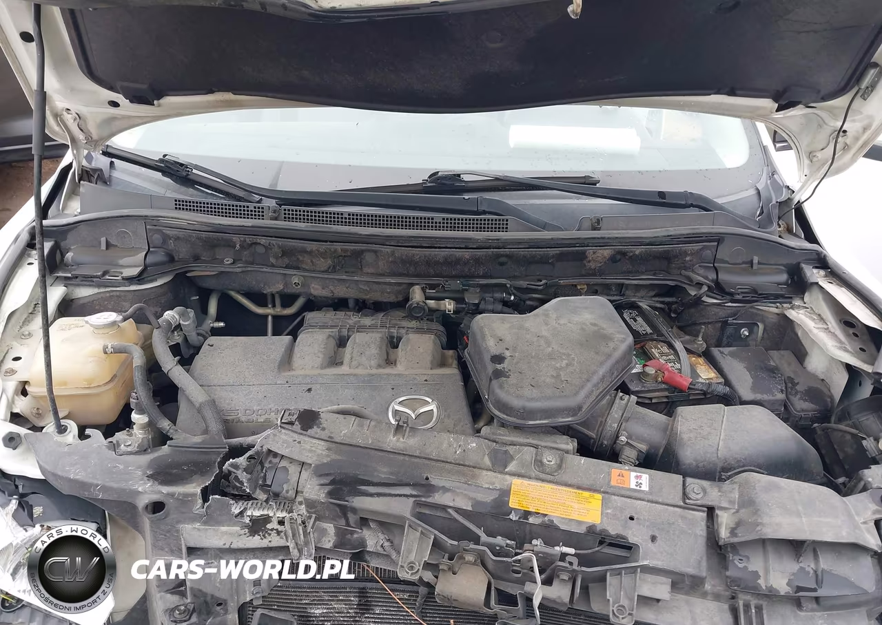 2011 Mazda Cx-9 Grand Touring VIN:JM3TB3DA9B0308659 - 10