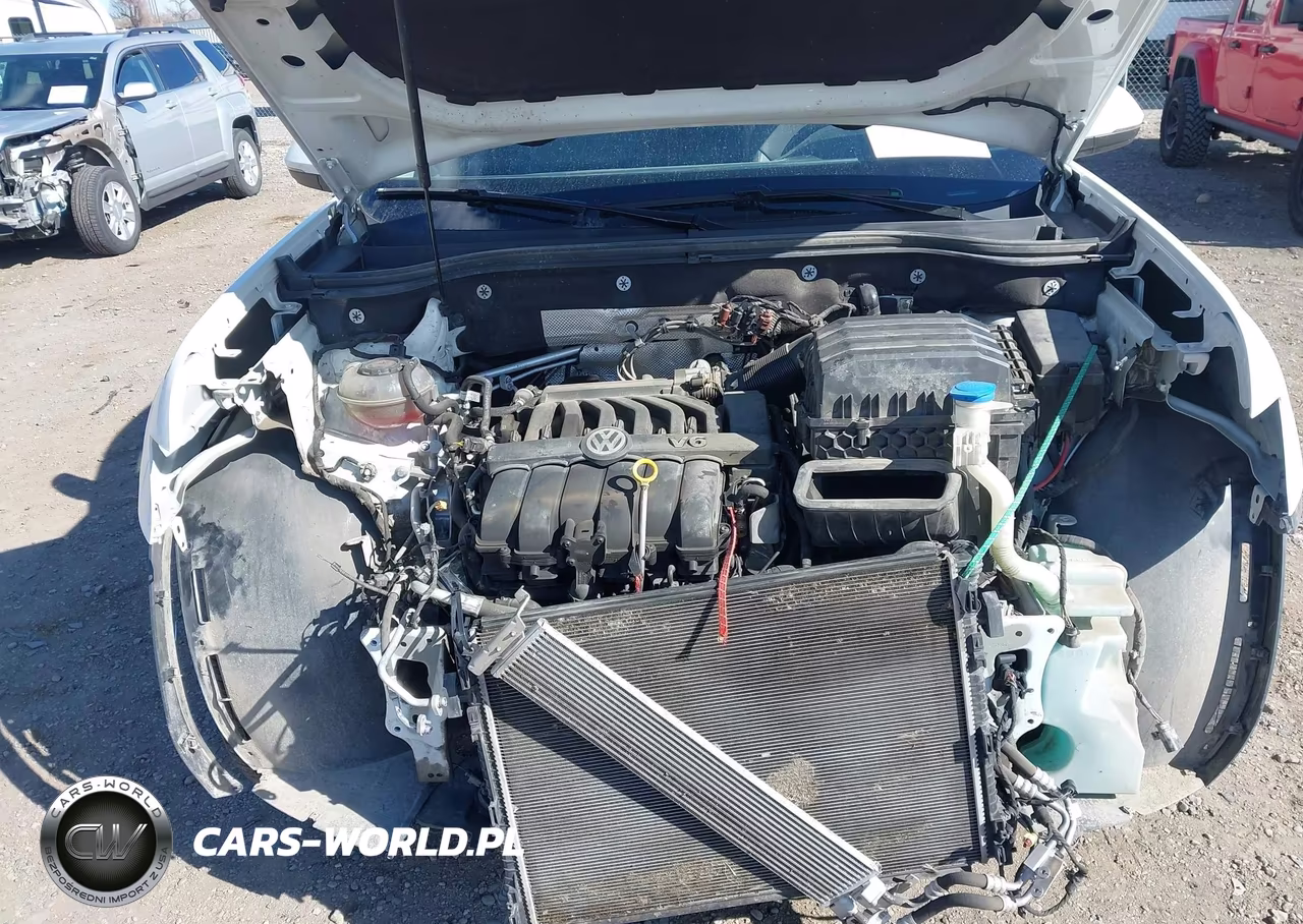 2019 Volkswagen Atlas 3.6L V6 Sel VIN:1V2MR2CA4KC543875 - 10