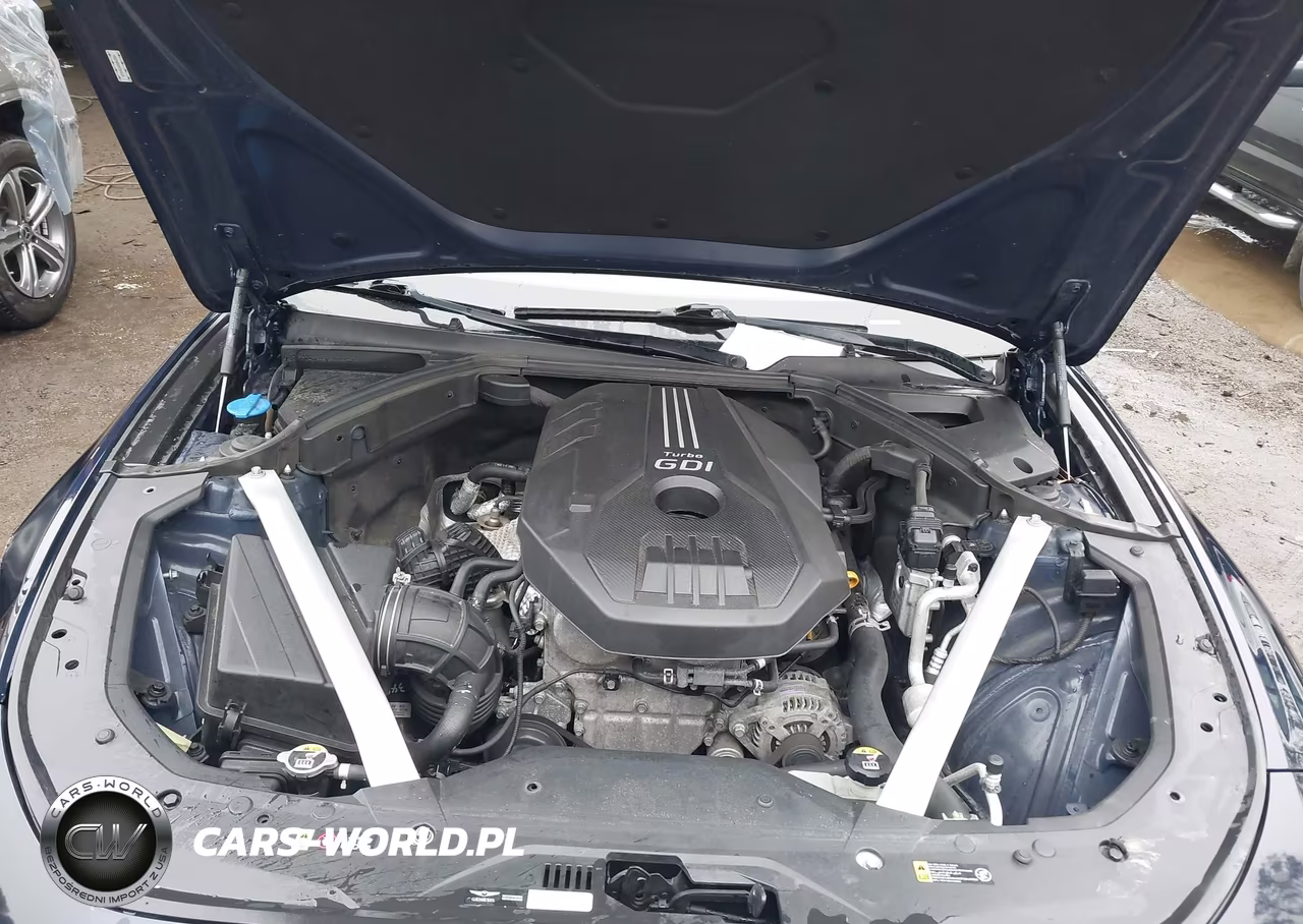 2019 Genesis G70 2.0T Advanced VIN:KMTG44LA4KU042554 - 10