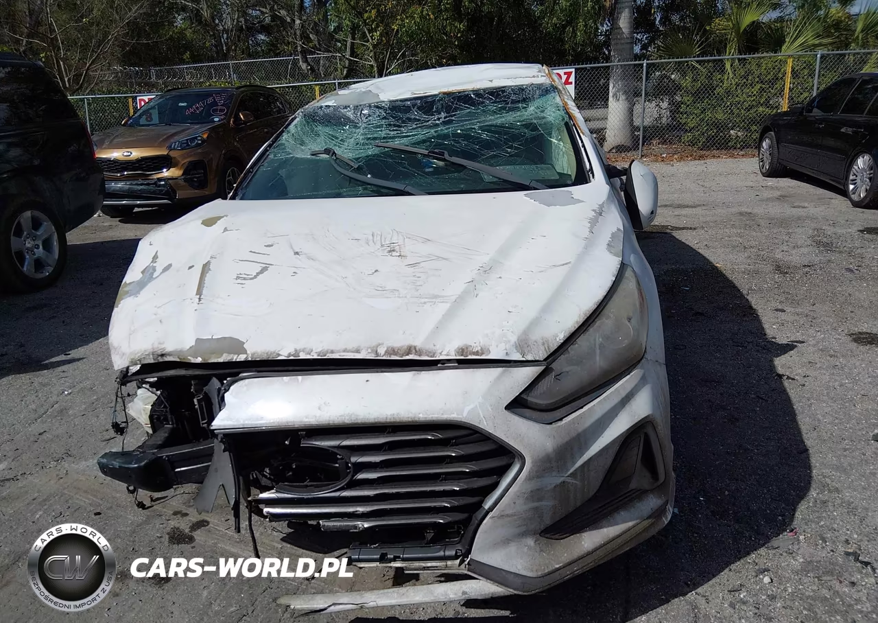 2019 Hyundai Sonata Se VIN:5NPE24AFXKH761005 - 12