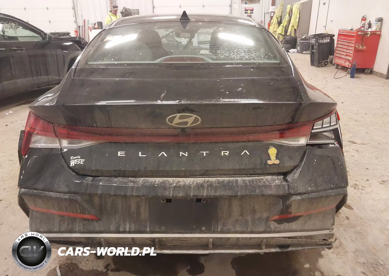 2025 Hyundai Elantra Sel Convenience VIN:KMHLS4DG4SU952058 - 16