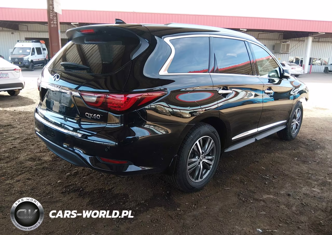 2020 Infiniti Qx60 Luxe Awd VIN:5N1DL0MM1LC516341 - 4