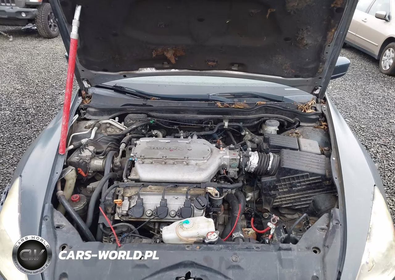 2004 Honda Accord 3.0 Ex VIN:1HGCM66534A013852 - 10