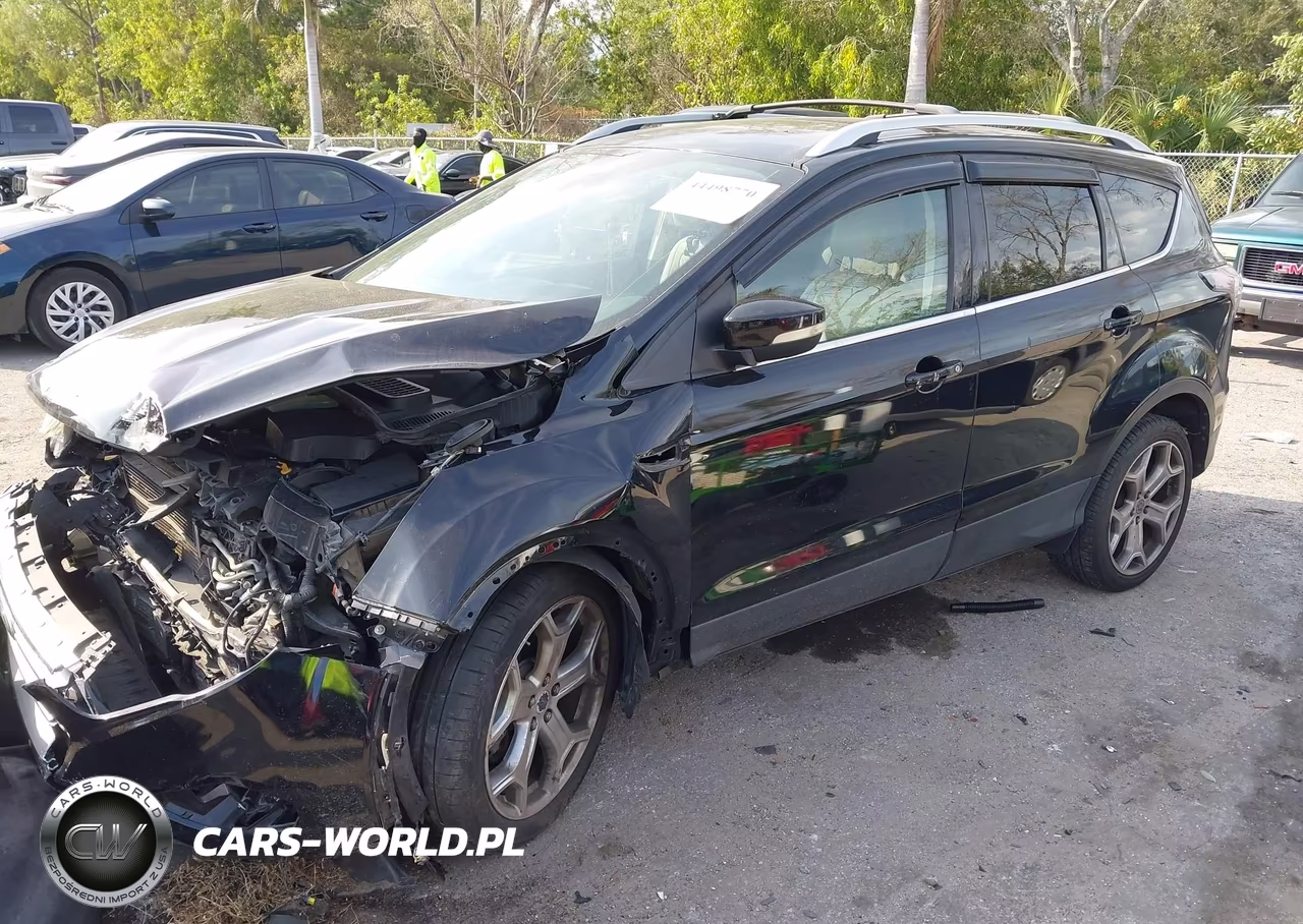 2017 Ford Escape Titanium VIN:1FMCU0J95HUA36314 - 2