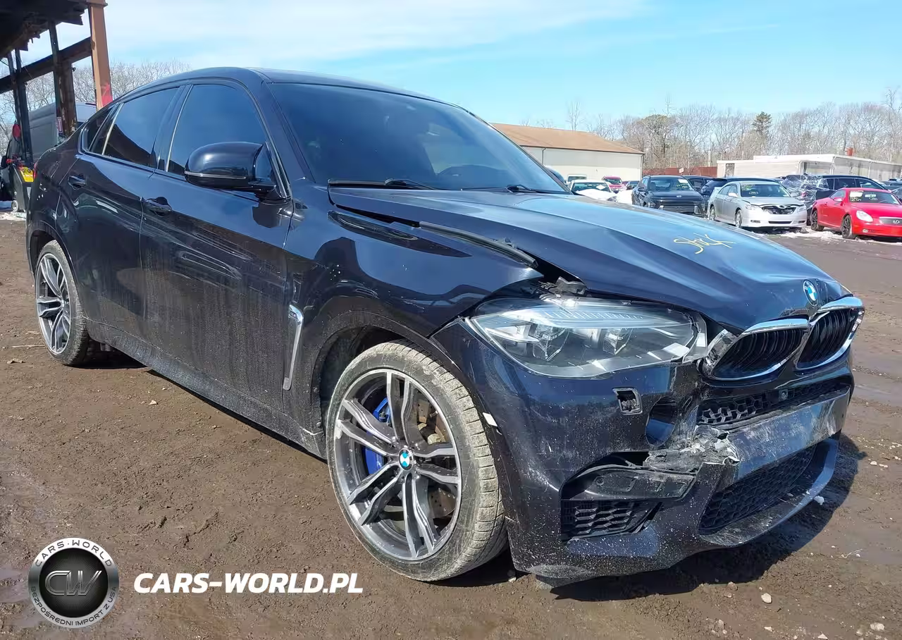 2016 BMW X6 M