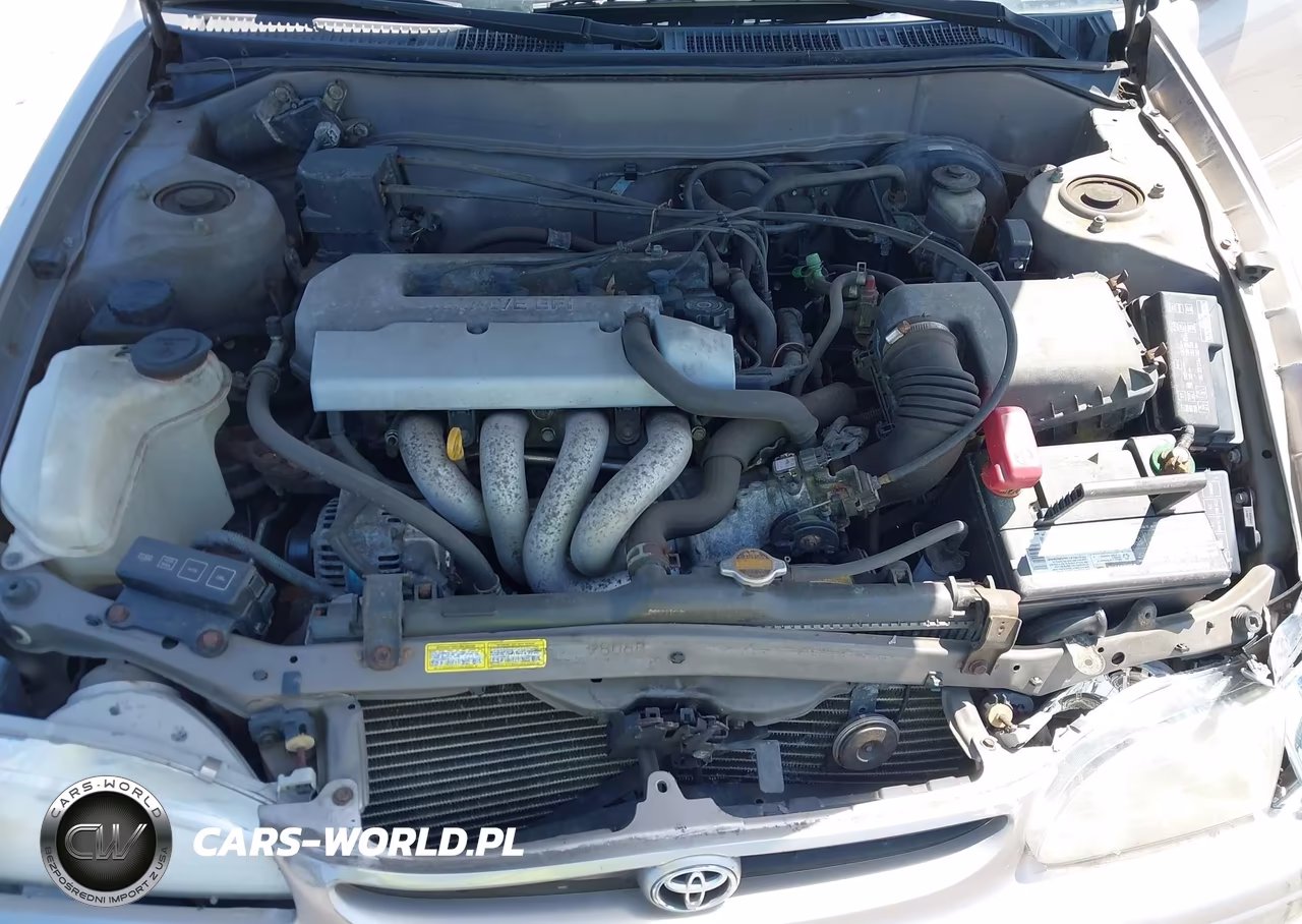 1999 Toyota Corolla Le VIN:2T1BR12E0XC187141 - 10