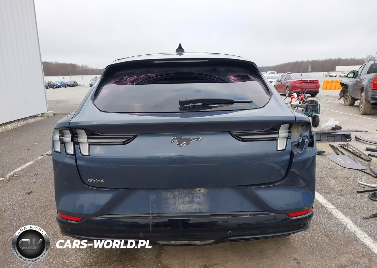 2021 Ford Mustang Mach-E Premium VIN:3FMTK3SU9MMA40441 - 17