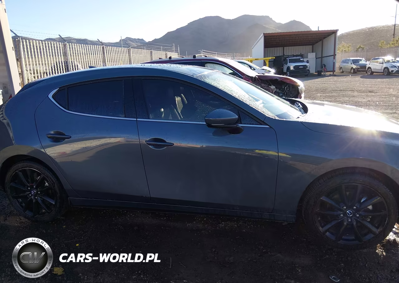 2019 Mazda Mazda3 Premium Package VIN:JM1BPBNM4K1135779 - 14