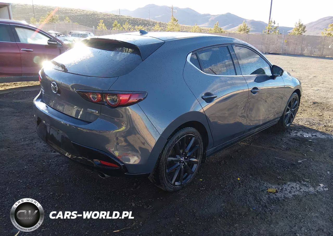 2019 Mazda Mazda3 Premium Package VIN:JM1BPBNM4K1135779 - 4