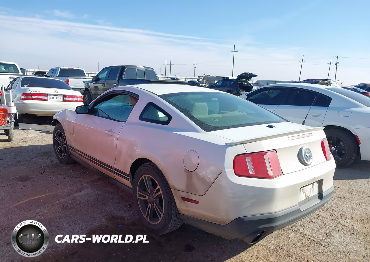 2012 Ford Mustang V6 Premium VIN:1ZVBP8AM5C5208206 - 3