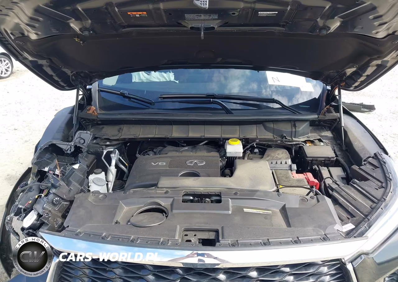 2024 Infiniti Qx60 Pure VIN:5N1DL1ER8RC345788 - 10