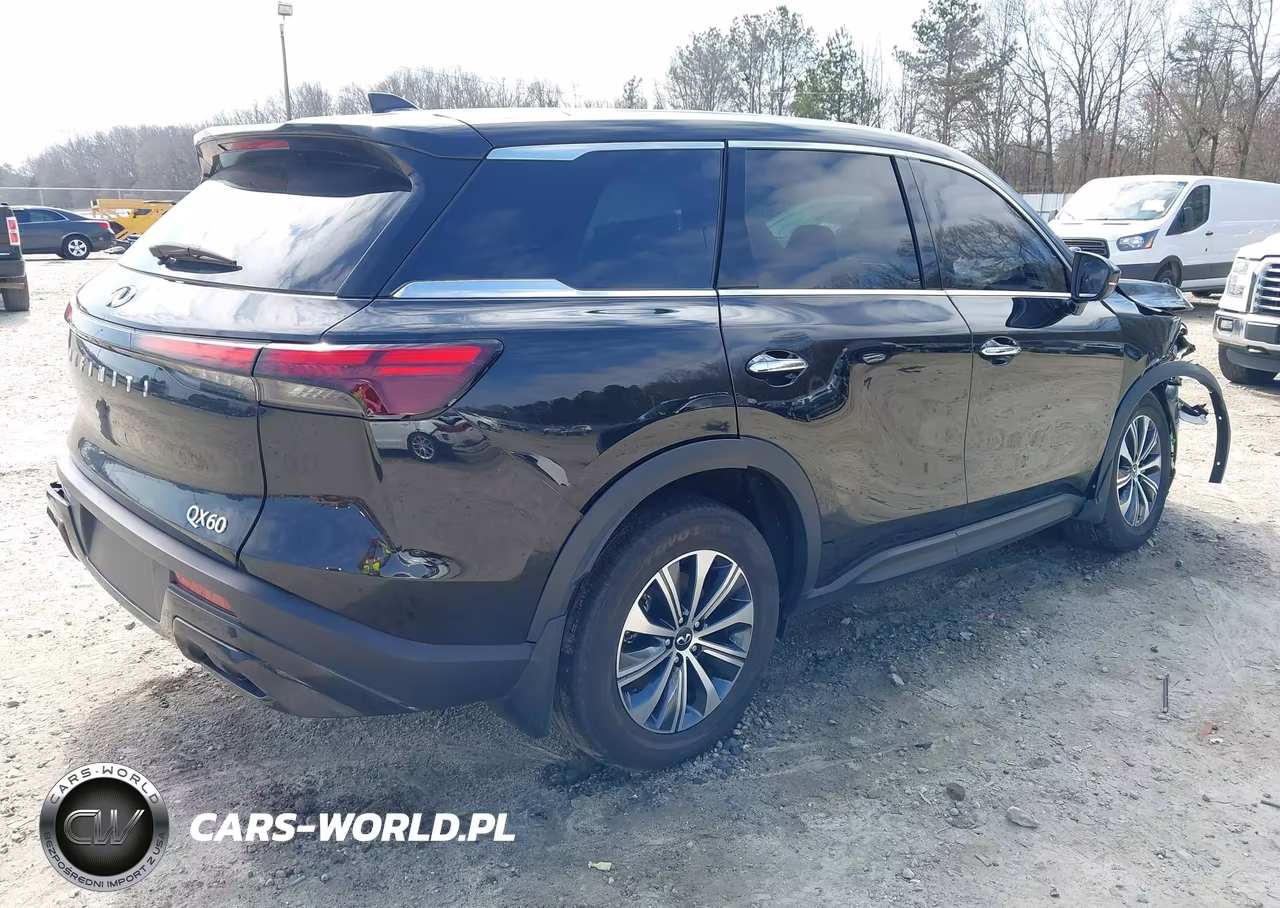 2024 Infiniti Qx60 Pure VIN:5N1DL1ER8RC345788 - 4