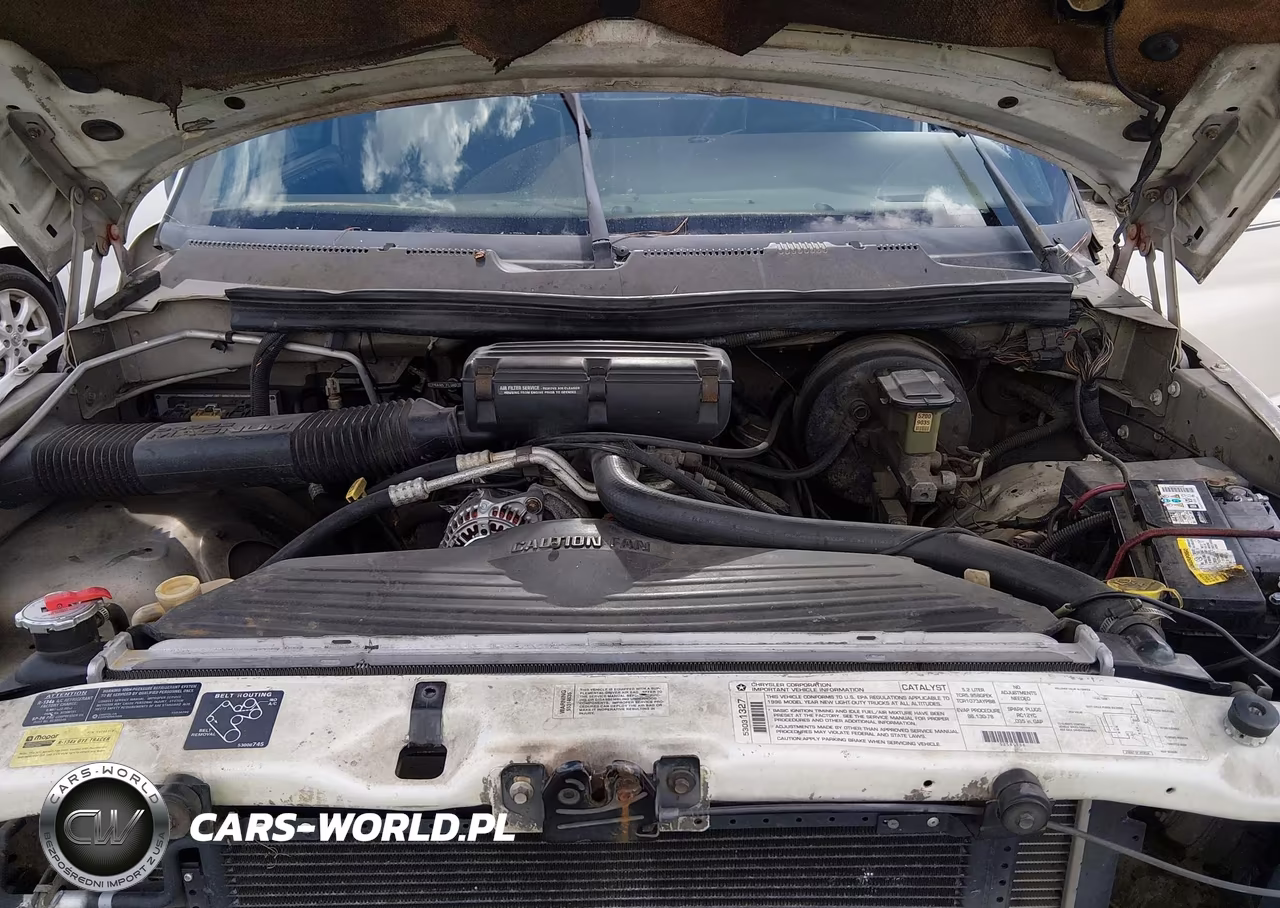 1996 Dodge Ram 1500 VIN:3B7HC13Y3TG117959 - 10