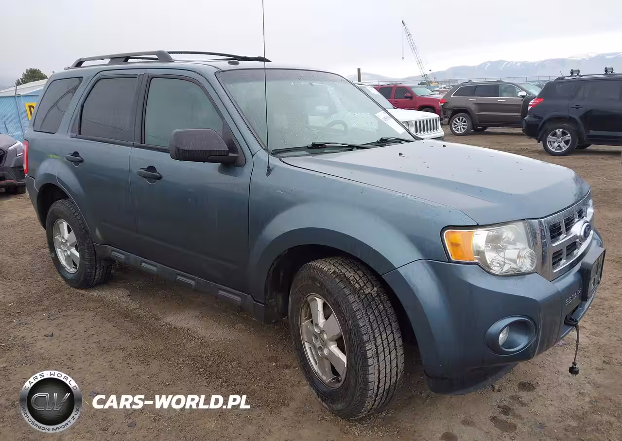 2010 Ford Escape Xlt
